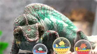 MISSION: Ultra Awesome Animals