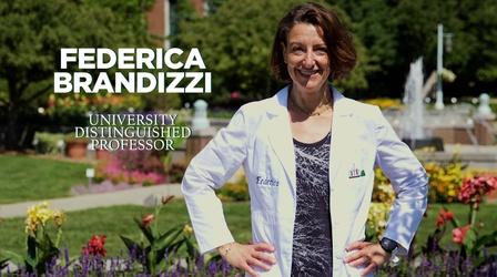 Video thumbnail: MSU Video Federica Brandizzi|University Distinguished Professor