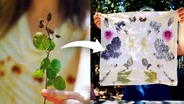 What is Eco-printing?
