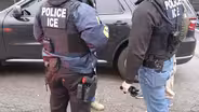 Are green card holders at a greater risk of being deported?