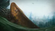 Could You Survive The Devonian Period?