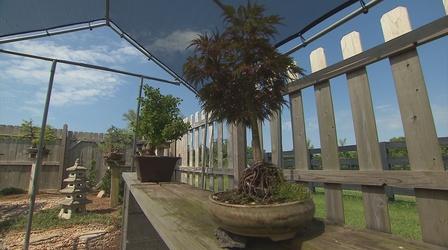 Video thumbnail: Volunteer Gardener Volunteer Gardener 2901