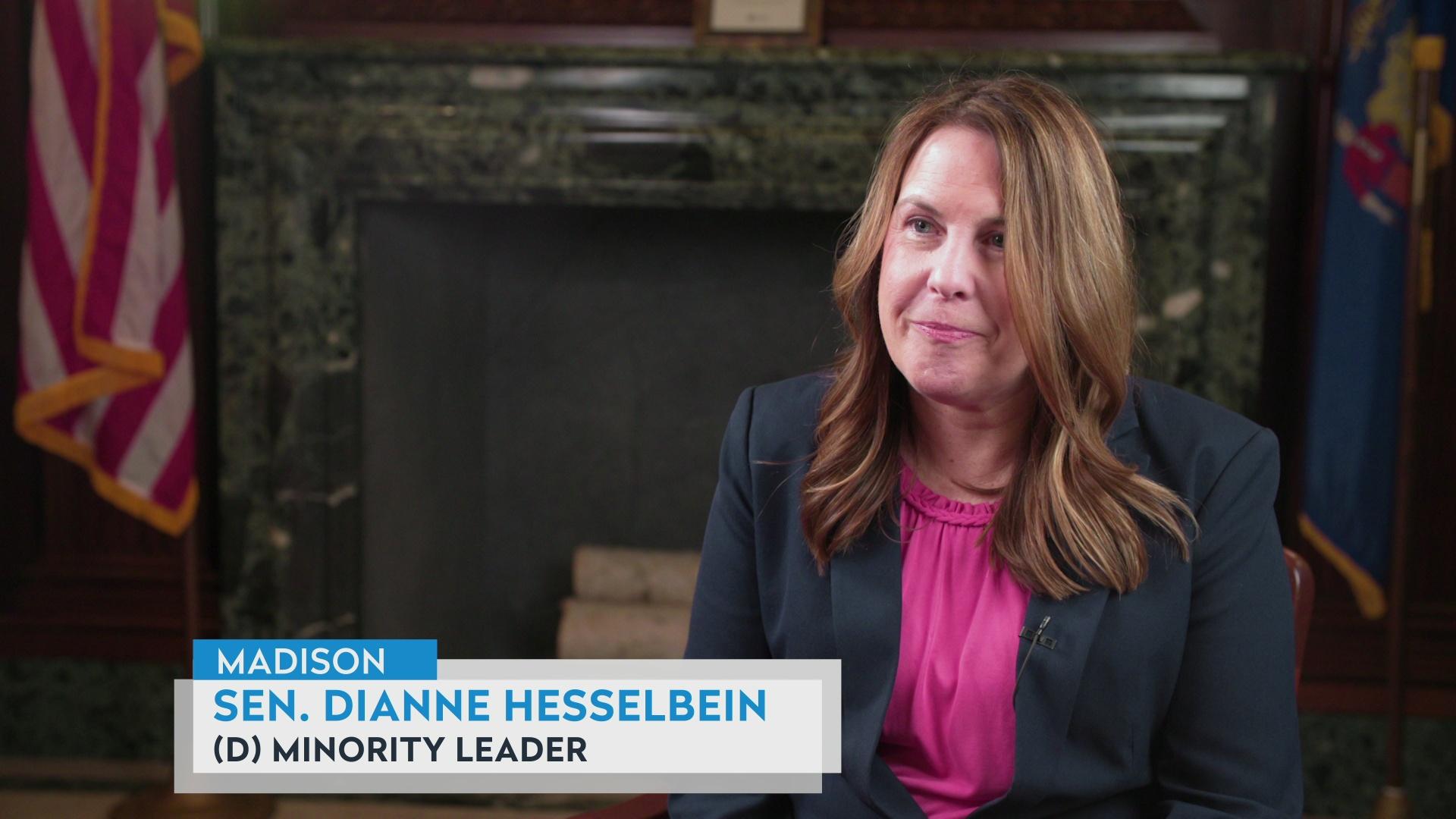 Sen. Dianne Hesselbein on the 2025 state Supreme Court vote