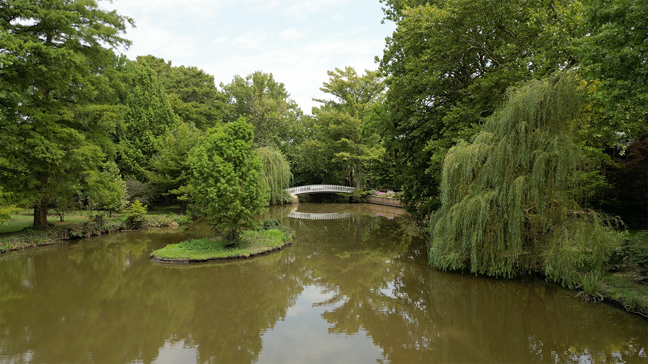 Belle Plaine