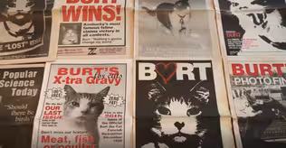The Official Burt the Cat Fanclub Newsletter, the Story