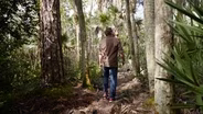 Nature Healing