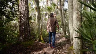 Nature Healing
