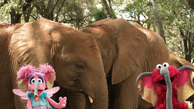 Nature | Sesame Street and the Great Elephant Adventure