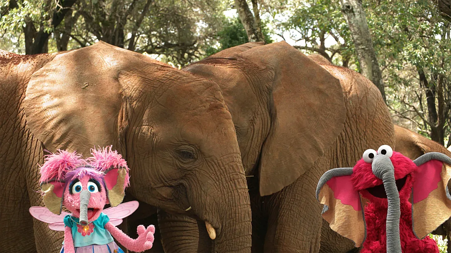 Sesame Street and the Great Elephant Adventure