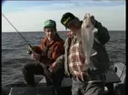 Mr. Walleye Meets His Loyer