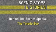 Scenic Stops & Stories (#508, 10/17/24)