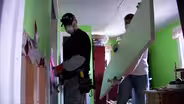Why mold is a growing problem