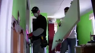 Why mold is a growing problem