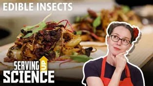 Dare to Taste Bugs? Good for You, Great for the World.