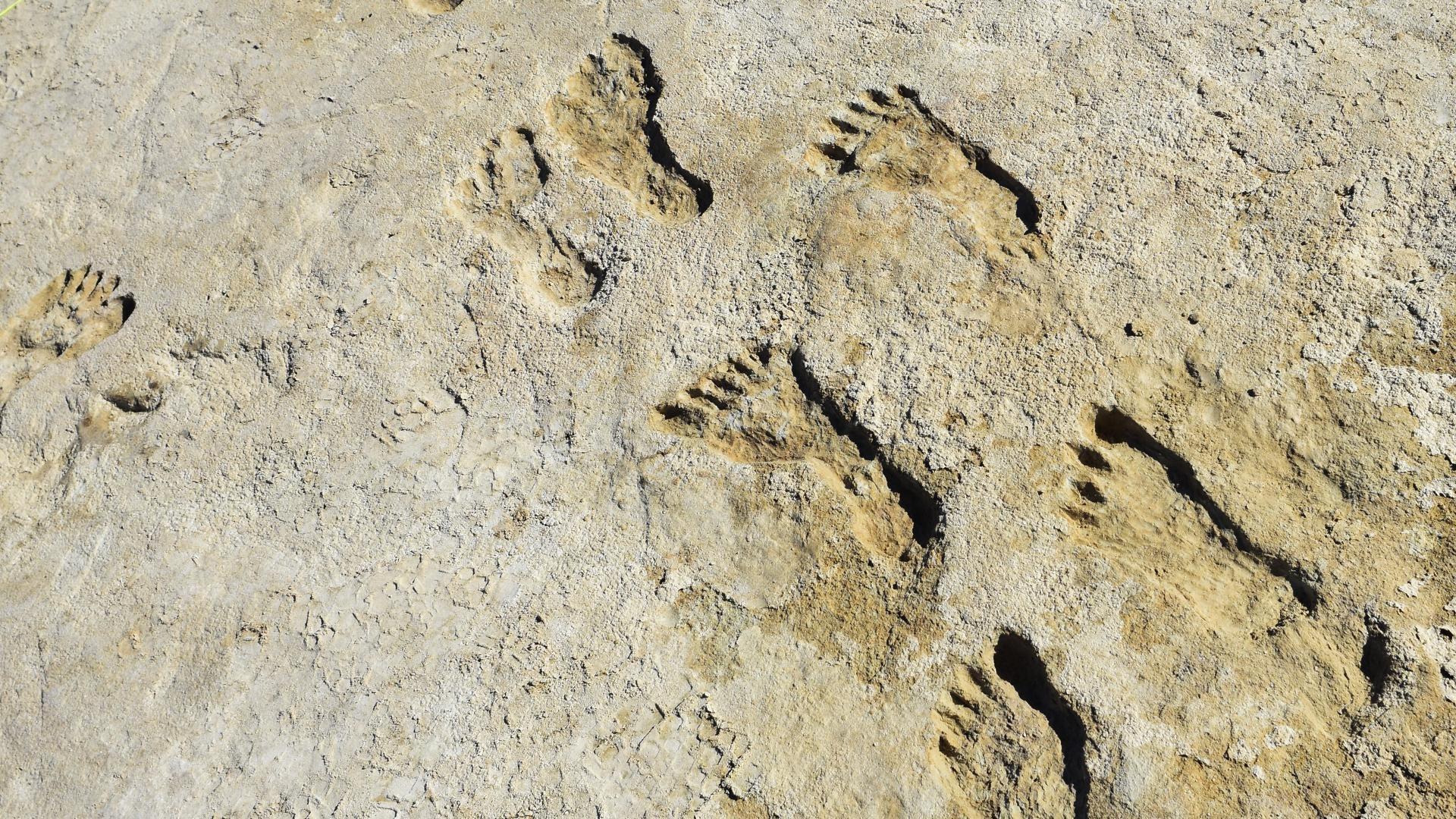 Fossilized Footprints - White Sands National Park (U.S. National