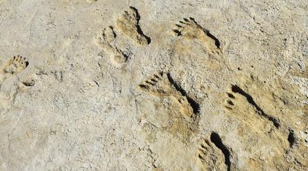 Video thumbnail: NOVA Ice Age Footprints Preview