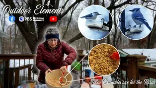 These Crumbles are for the Birds