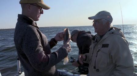 Video thumbnail: Fishing Behind The Lines Walleye World