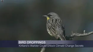 Bird Poop Could Unlock Secrets of Climate Change Adaptation