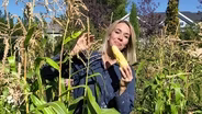 How to Grow the Best-Tasting Corn