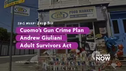 Cuomo's Gun Crime Plan, Andrew Giuliani, Adult Survivors Act