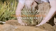 Rock Garden Renovation (Best of Oklahoma Gardening 12/9/23)