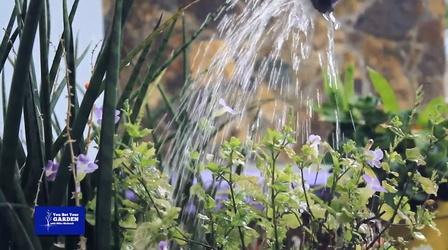 Video thumbnail: You Bet Your Garden You Bet Your Garden S3 Ep. 25 Feeding and Watering