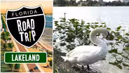 Lakeland