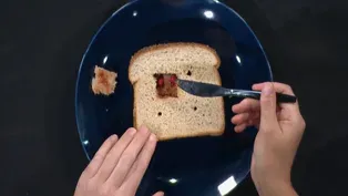 PB and J Archaeology