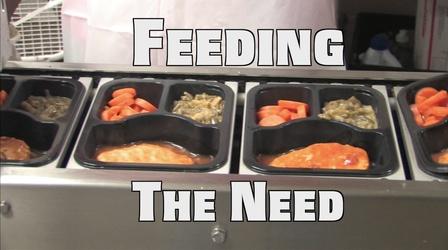 Video thumbnail: The Best Times Feeding the Need