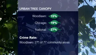 A Ground-Up Approach to a Healthier, Safer Community