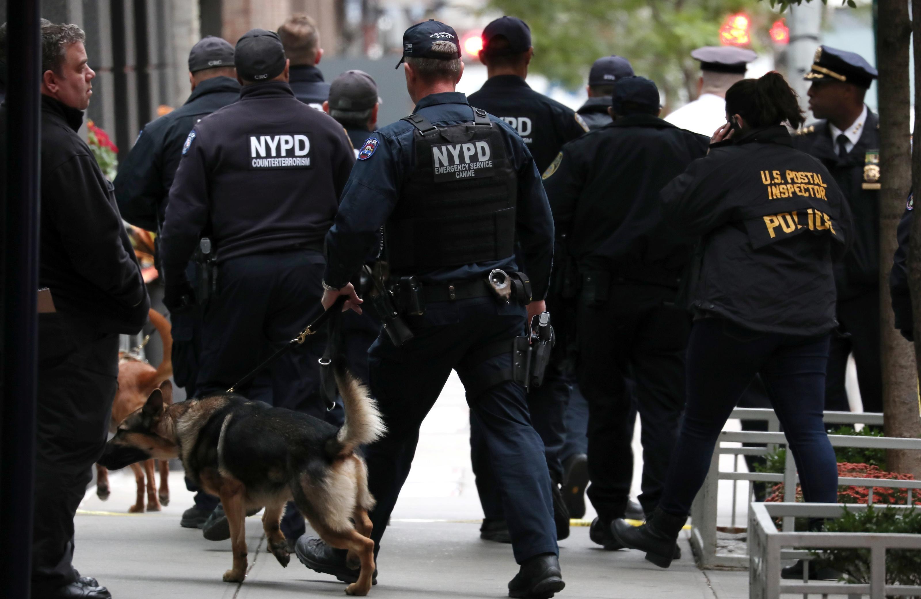 Fort Wayne Police Department K9 Unit Training The Paw Report A