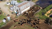 Filed Trip to Ran Lew Dairy