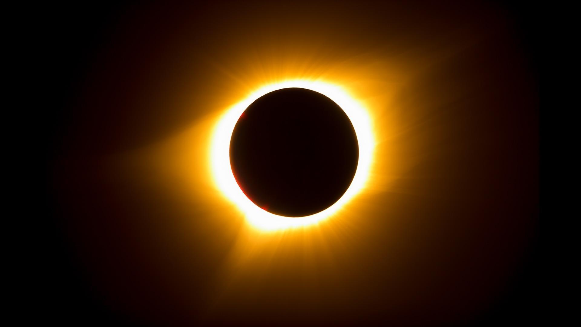 Let's Find Out About the Sun: Shapp, Martha, And Shapp