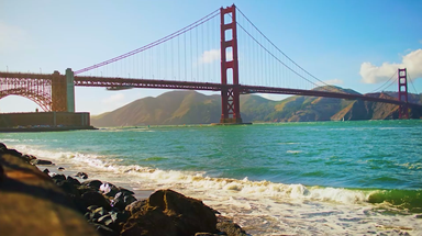 Golden Gate American Little League > Home