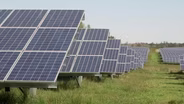 Solar Farm in Gates County