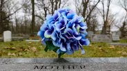 Timeless Grave Care