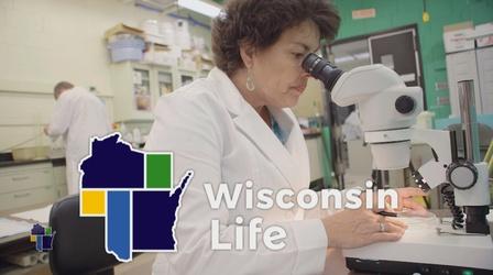 Video thumbnail: Wisconsin Life Ecological Endeavors