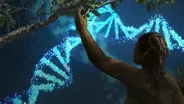 The Genes We Lost Along the Way