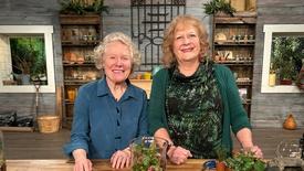 Terrariums and Pollinator Gardens: asset-mezzanine-16x9