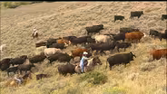 Family Ranch Heritage