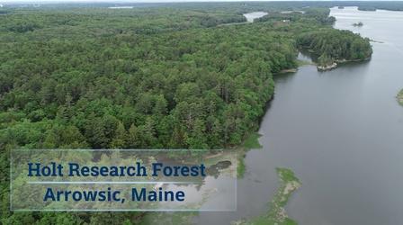 Video thumbnail: Maine Public Film Series Holt Research Forest