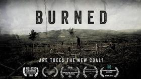 Video thumbnail: Made Here PREVIEW: BURNED: Are Trees the New Coal?