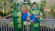 Theme of the Day - Going Green Day