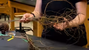 Bare Root Planting