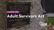 Will the Adult Survivors Act Pass?