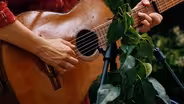 Amber Rubarth | 'Mercy Me' at Origins Greenhouse Cafe