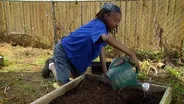 Starting a New Raised Bed