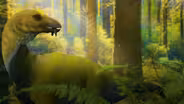 Did Dinosaurs' Extinction Give Us Fruit?