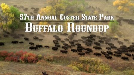 Video thumbnail: SDPB Specials The 2022 South Dakota Governor's Buffalo Roundup